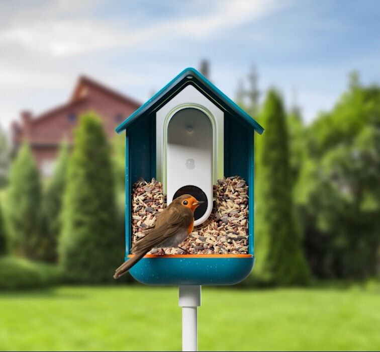 How to DIY Bird Feeder Camera Best Suited for You