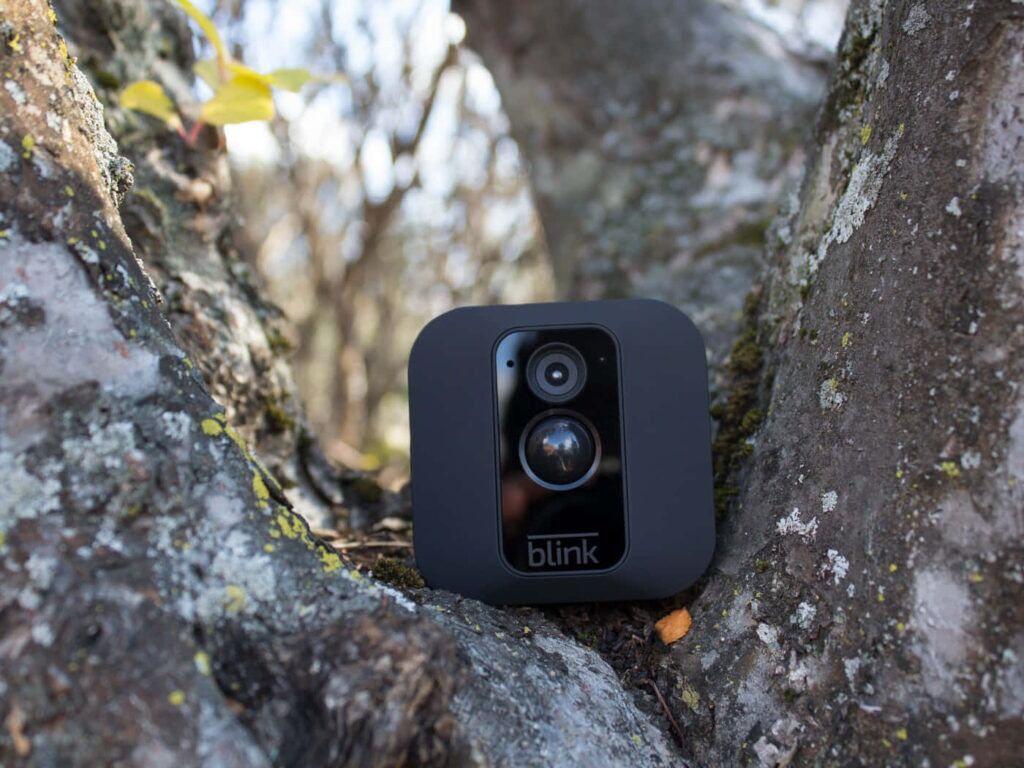 This “Nest Security Camera” for birds lets you bird-watch right